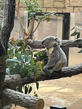 名古屋市東山動植物園に投稿された画像（2025/1/5）