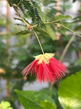 名古屋市東山動植物園に投稿された画像（2025/1/5）