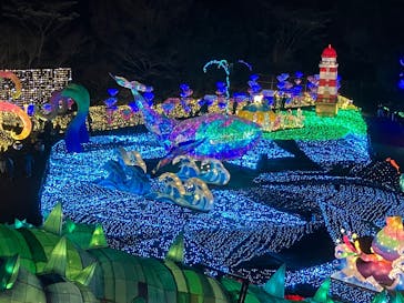 伊豆高原グランイルミに投稿された画像（2025/1/5）