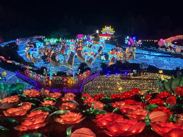 伊豆高原グランイルミに投稿された画像（2025/1/5）