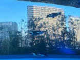 サンシャイン水族館に投稿された画像（2025/1/5）