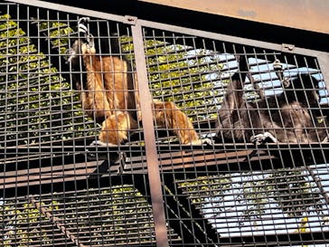 恩賜上野動物園に投稿された画像（2025/1/5）