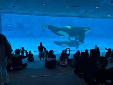名古屋港水族館に投稿された画像（2025/1/5）