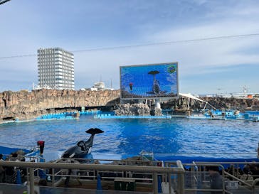 名古屋港水族館に投稿された画像（2025/1/5）