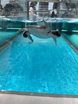 名古屋港水族館に投稿された画像（2025/1/5）