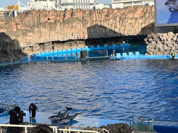 名古屋港水族館に投稿された画像（2025/1/5）