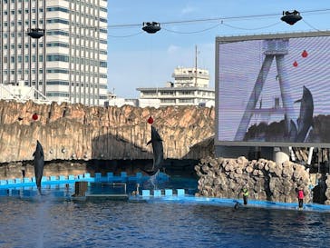 名古屋港水族館に投稿された画像（2025/1/5）