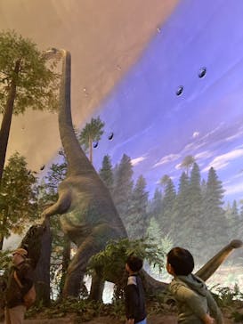 福井県立恐竜博物館に投稿された画像（2025/1/5）