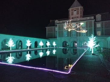 神戸イルミナージュに投稿された画像（2025/1/5）