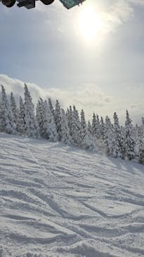 ジュネス栗駒スキー場に投稿された画像（2025/1/5）