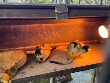 伊豆シャボテン動物公園に投稿された画像（2025/1/5）