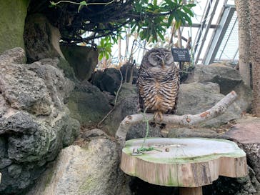 伊豆シャボテン動物公園に投稿された画像（2025/1/5）