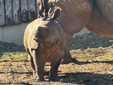 多摩動物公園に投稿された画像（2025/1/5）