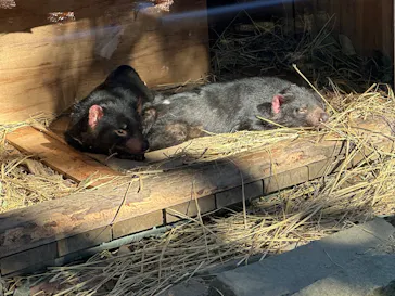 多摩動物公園に投稿された画像（2025/1/5）