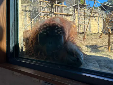 多摩動物公園に投稿された画像（2025/1/5）