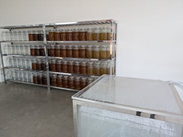 金沢21世紀美術館に投稿された画像（2025/1/5）