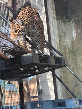 天王寺動物園に投稿された画像（2025/1/5）