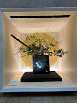 東京国立博物館に投稿された画像（2025/1/6）