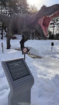 福井県立恐竜博物館に投稿された画像（2025/1/6）