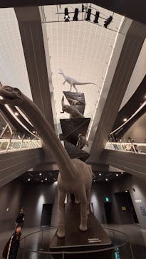 福井県立恐竜博物館に投稿された画像（2025/1/6）