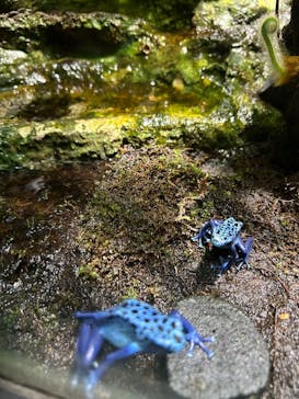 サンシャイン水族館に投稿された画像（2025/1/6）