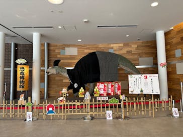 福井県立恐竜博物館に投稿された画像（2025/1/6）