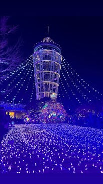 江の島シーキャンドルに投稿された画像（2025/1/6）