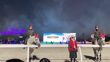 東京メガイルミに投稿された画像（2025/1/6）