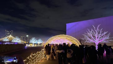 東京メガイルミに投稿された画像（2025/1/6）