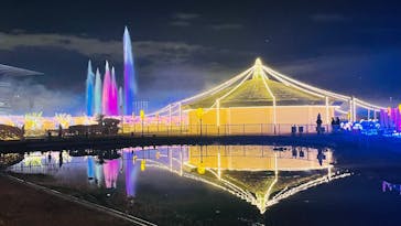 東京メガイルミに投稿された画像（2025/1/6）