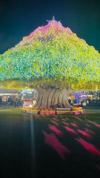 東京メガイルミに投稿された画像（2025/1/6）