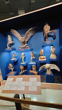 特別展「鳥 ～ゲノム解析が解き明かす新しい鳥類の系統～」国立科学博物館に投稿された画像（2025/1/6）