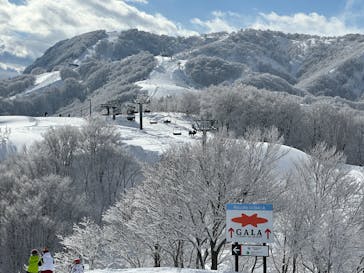三山BIG　MOUNTAIN　湯沢スノーリンクに投稿された画像（2025/1/6）