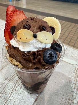 横浜・八景島シーパラダイスに投稿された画像（2025/1/6）