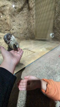 DMMかりゆし水族館に投稿された画像（2025/1/6）