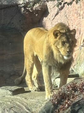 名古屋市東山動植物園に投稿された画像（2025/1/6）