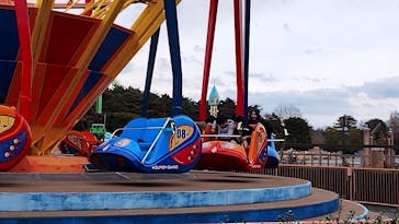 国営ひたち海浜公園プレジャーガーデンに投稿された画像（2025/1/6）