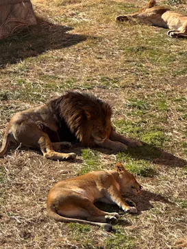 多摩動物公園に投稿された画像（2025/1/6）