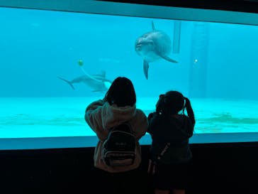 しながわ水族館に投稿された画像（2025/1/6）