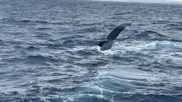 Sea World（シーワールド）に投稿された画像（2025/1/6）