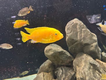 カワスイ 川崎⽔族館に投稿された画像（2025/1/6）