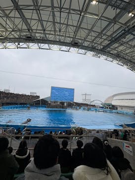 名古屋港水族館に投稿された画像（2025/1/6）