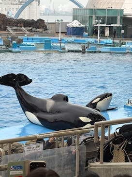 名古屋港水族館に投稿された画像（2025/1/6）