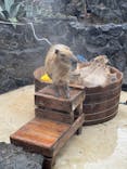 伊豆シャボテン動物公園に投稿された画像（2025/1/6）