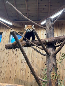 伊豆シャボテン動物公園に投稿された画像（2025/1/6）