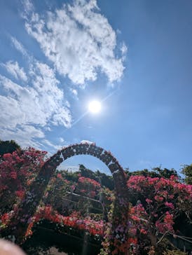 おきなわワールドに投稿された画像（2025/1/6）