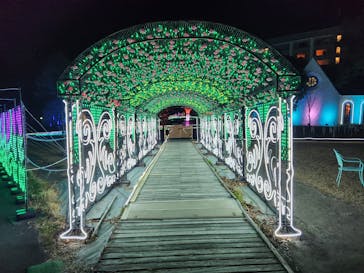 つま恋イルミネーションに投稿された画像（2025/1/6）