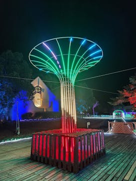 つま恋イルミネーションに投稿された画像（2025/1/6）