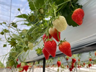 株式会社こまち野に投稿された画像（2025/1/6）