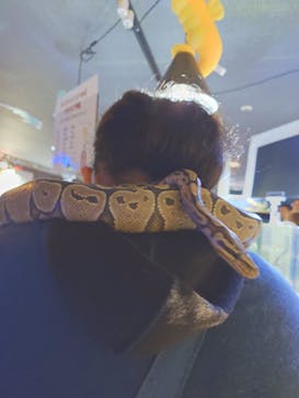 ゼロ距離水族館 伊勢シーパラダイスに投稿された画像（2025/1/6）